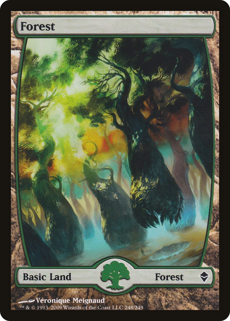 Forest - Image 1
