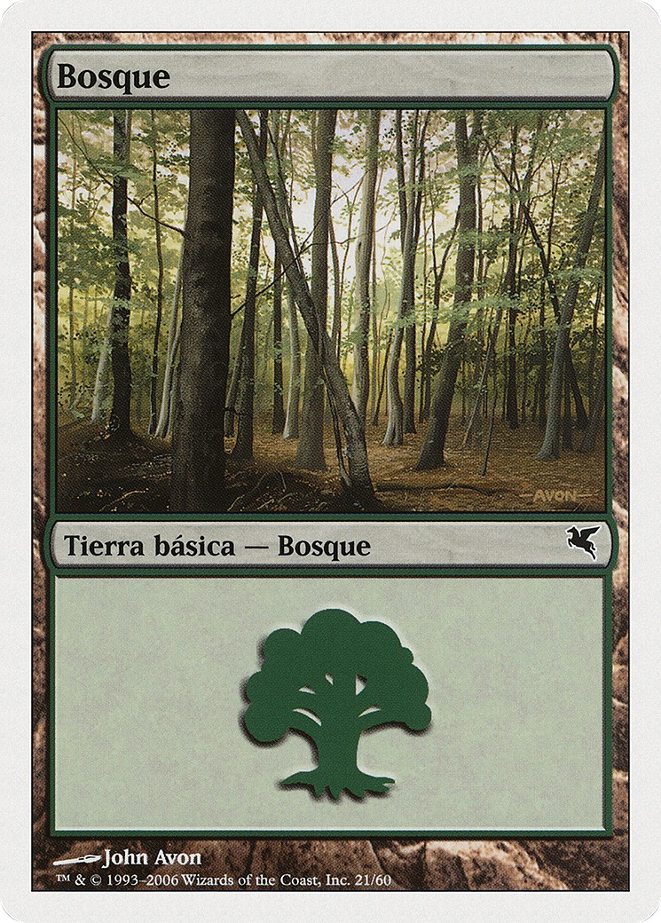 Forest - Image 1