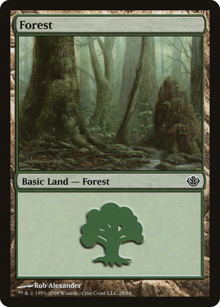 Forest - Image 1