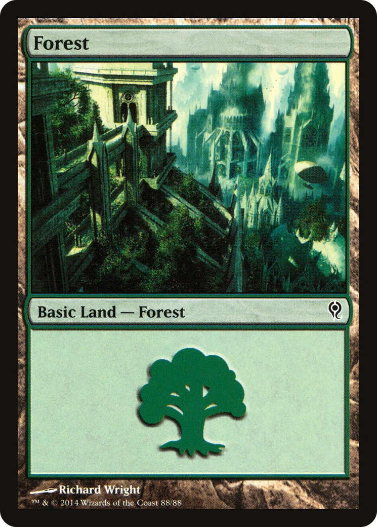 Forest - Image 1