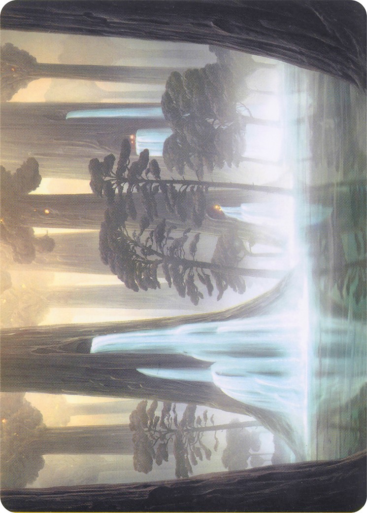 Waterlogged Grove // Waterlogged Grove - Image 1