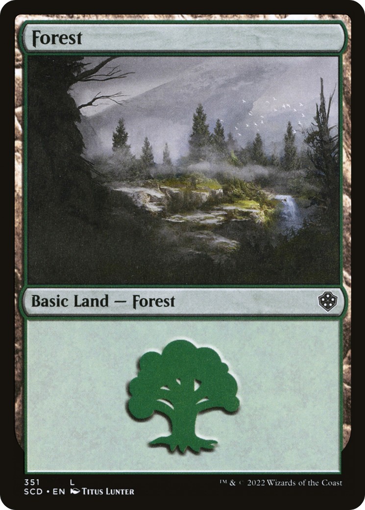 Forest - Image 1