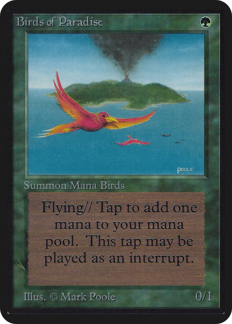 Birds of Paradise - Image 1