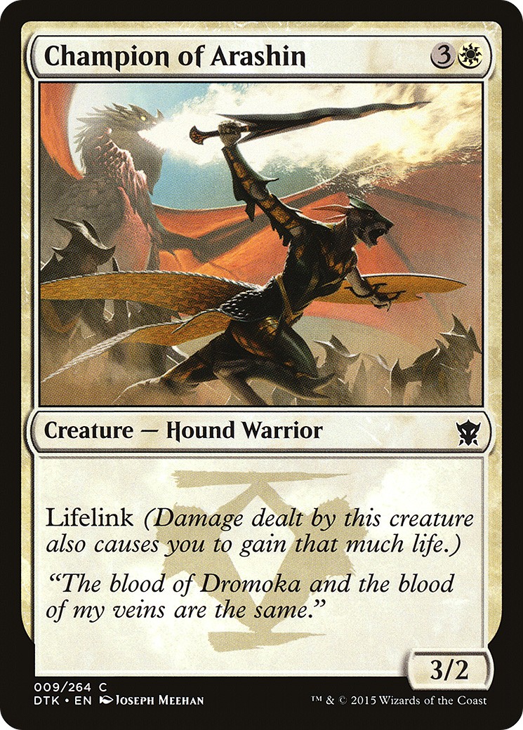 Champion of Arashin - Image 1