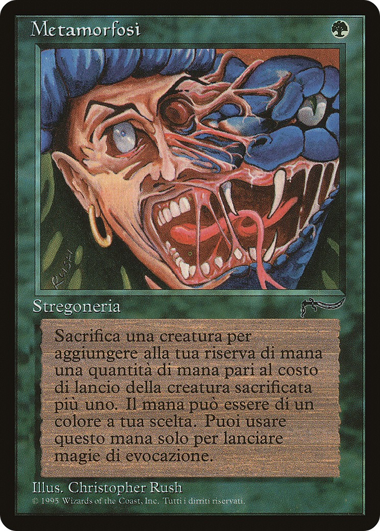 Metamorphosis - Image 1