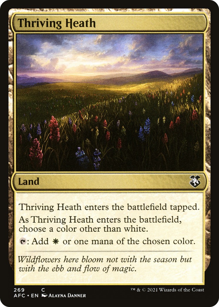 2021 Magic: The Gathering Forgotten Realms 2021 Magic: The Gathering Forgotten Realms #269 trading card