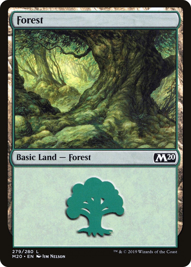 Forest - Image 1
