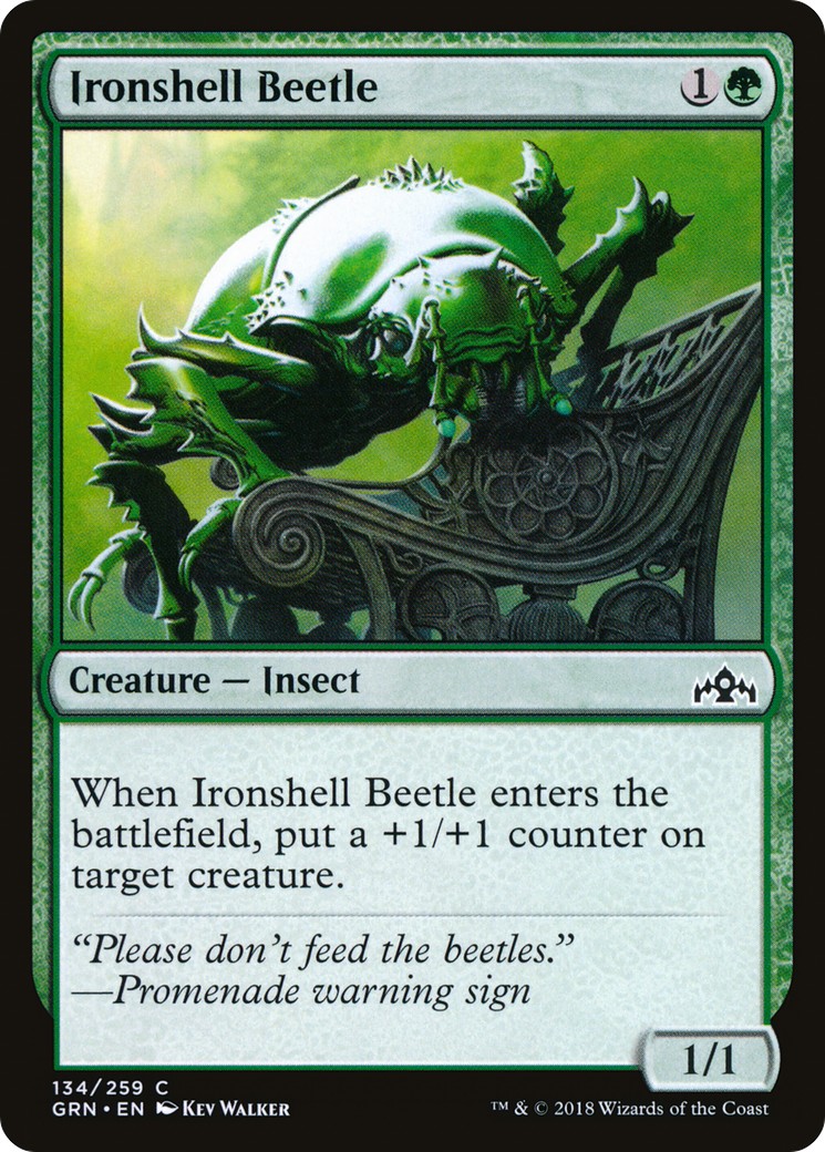 Ironshell Beetle - Image 1