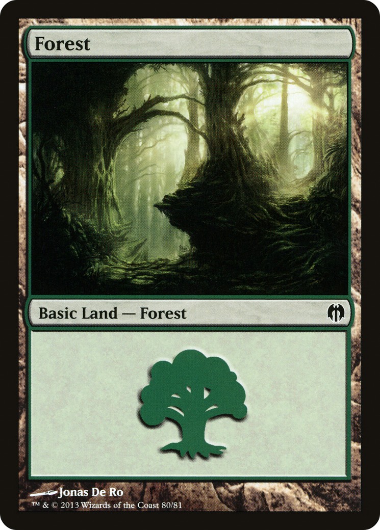 Forest - Image 1
