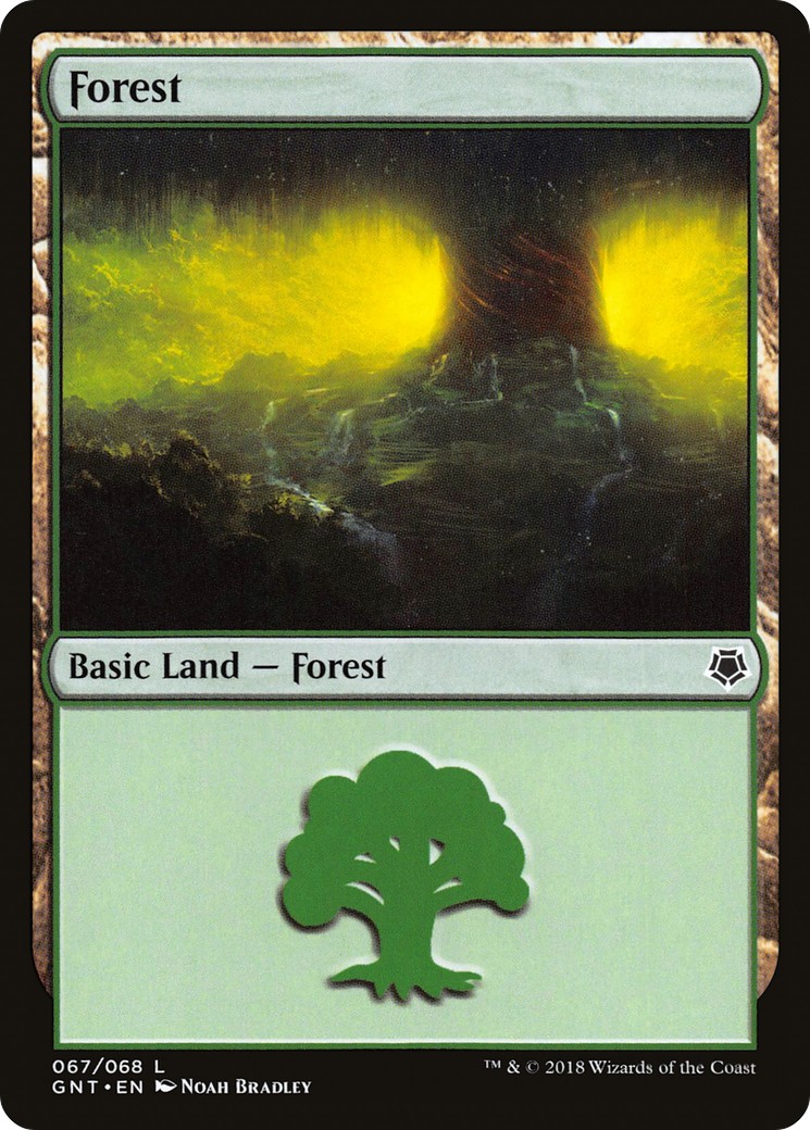 Forest - Image 1
