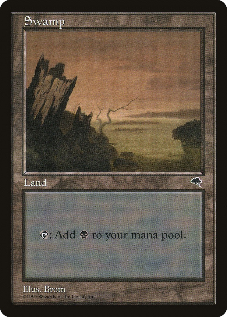 Swamp - Image 1