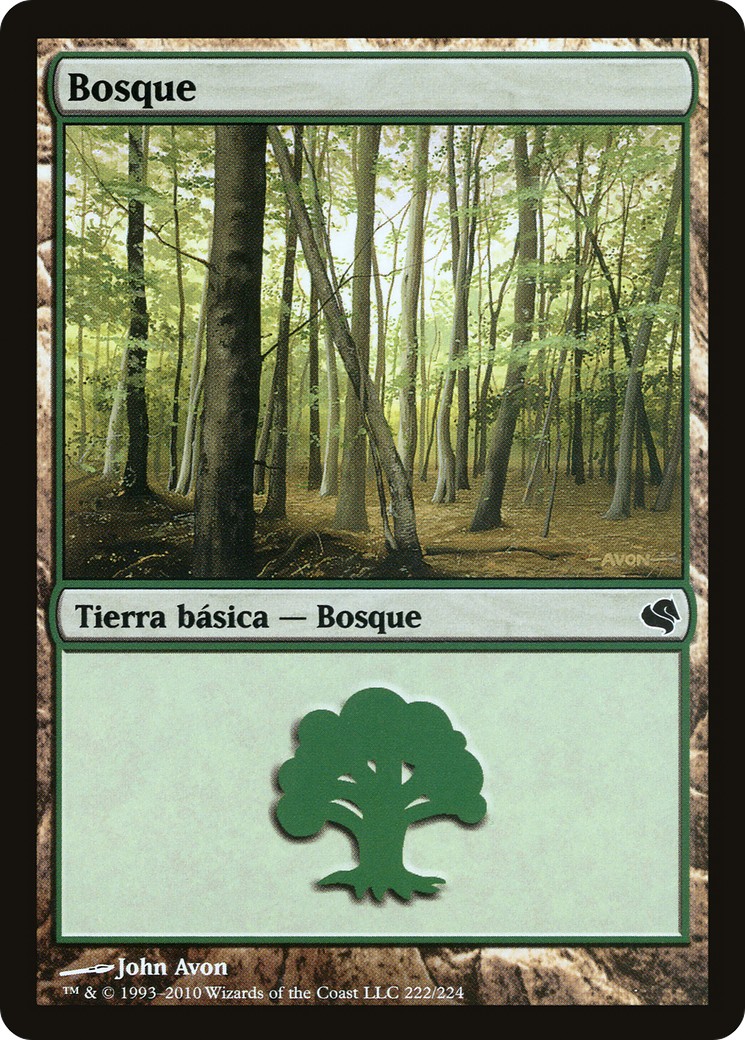 Forest - Image 1