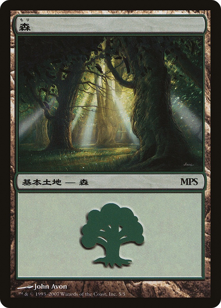 Forest - Image 1
