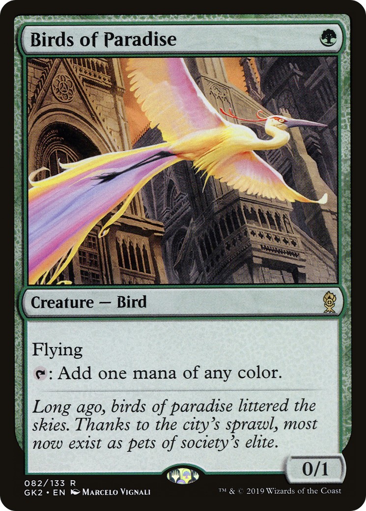 Birds of Paradise - Image 1