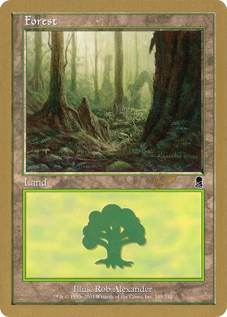 Forest - Image 1