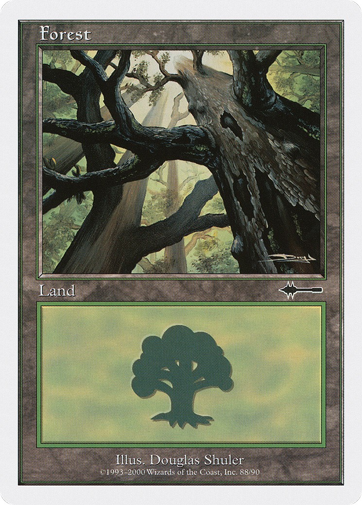 Forest - Image 1