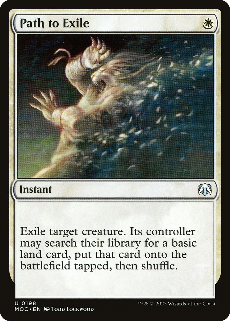 Path to Exile - Image 1