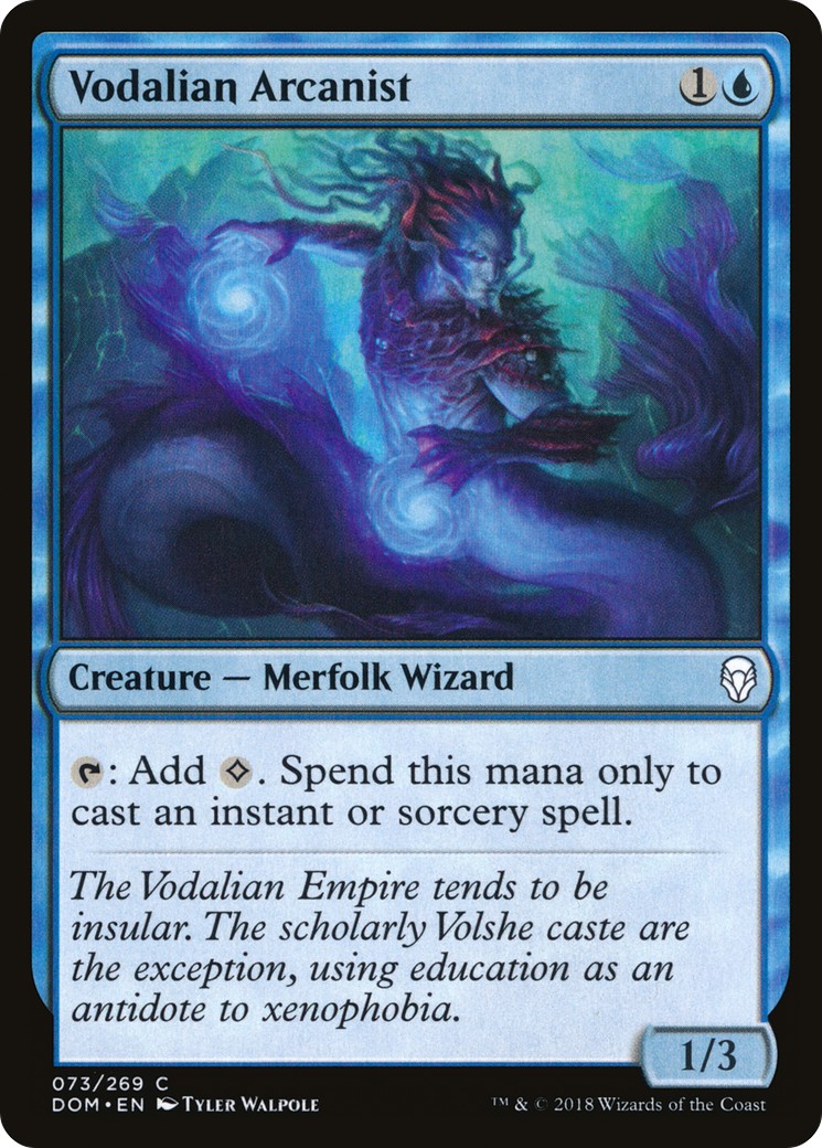 Vodalian Arcanist - Image 1