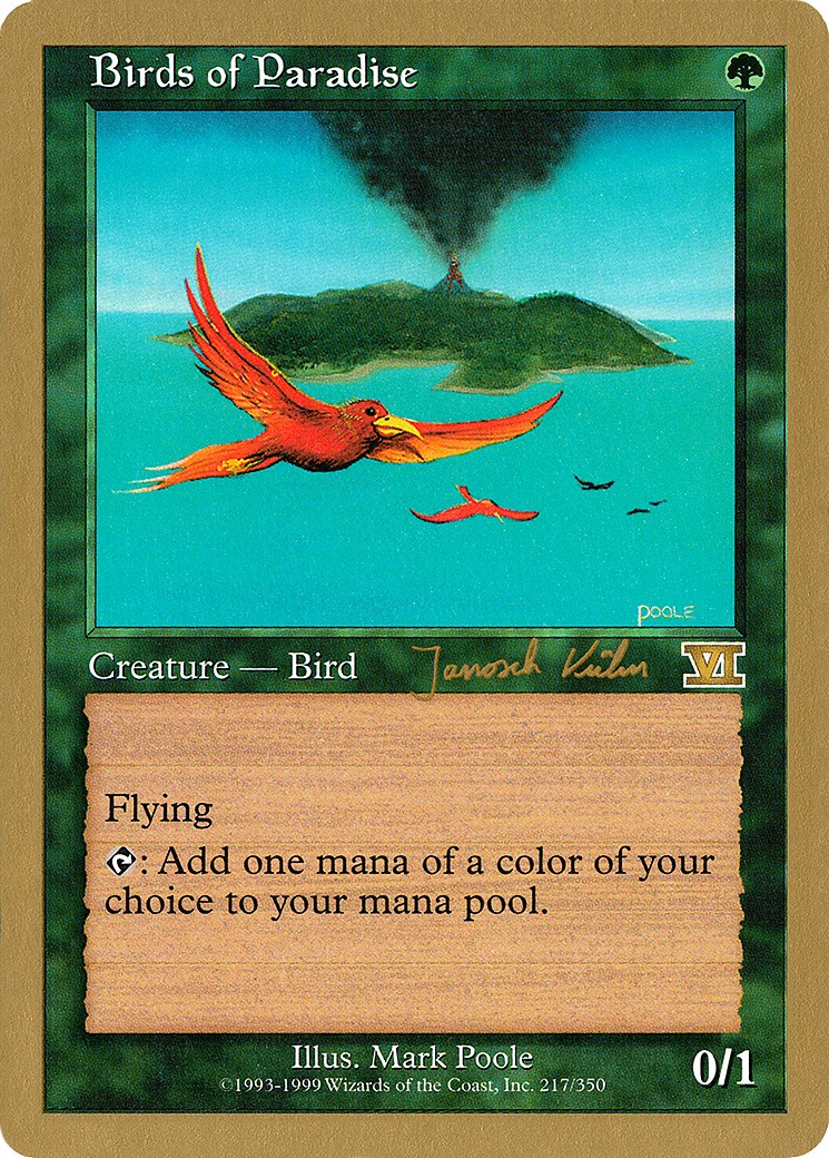 Birds of Paradise - Image 1