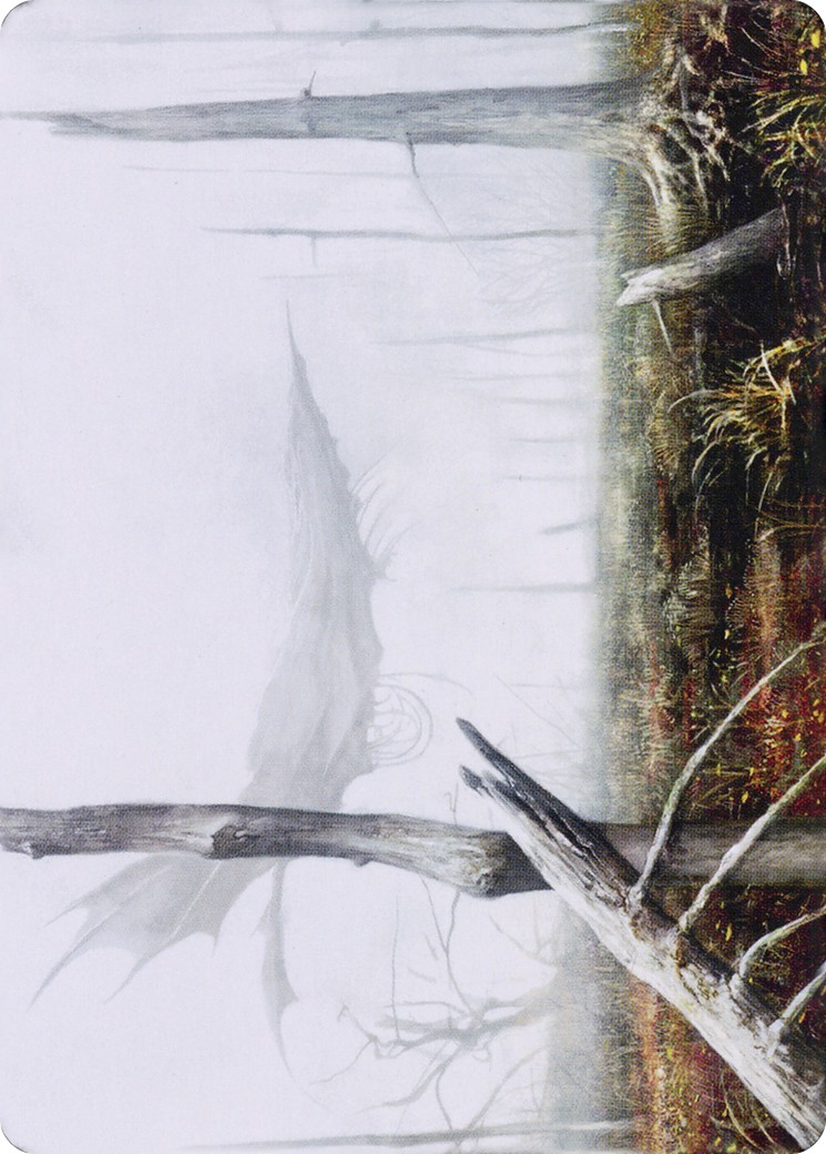 Swamp // Swamp - Image 1