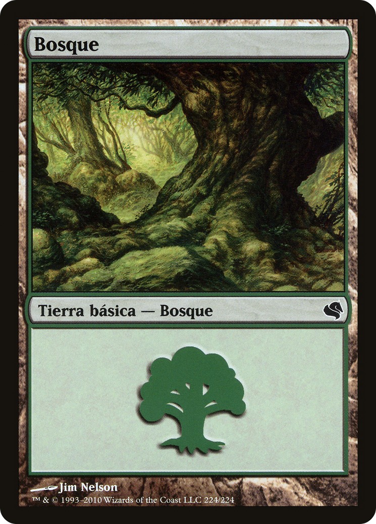 Forest - Image 1