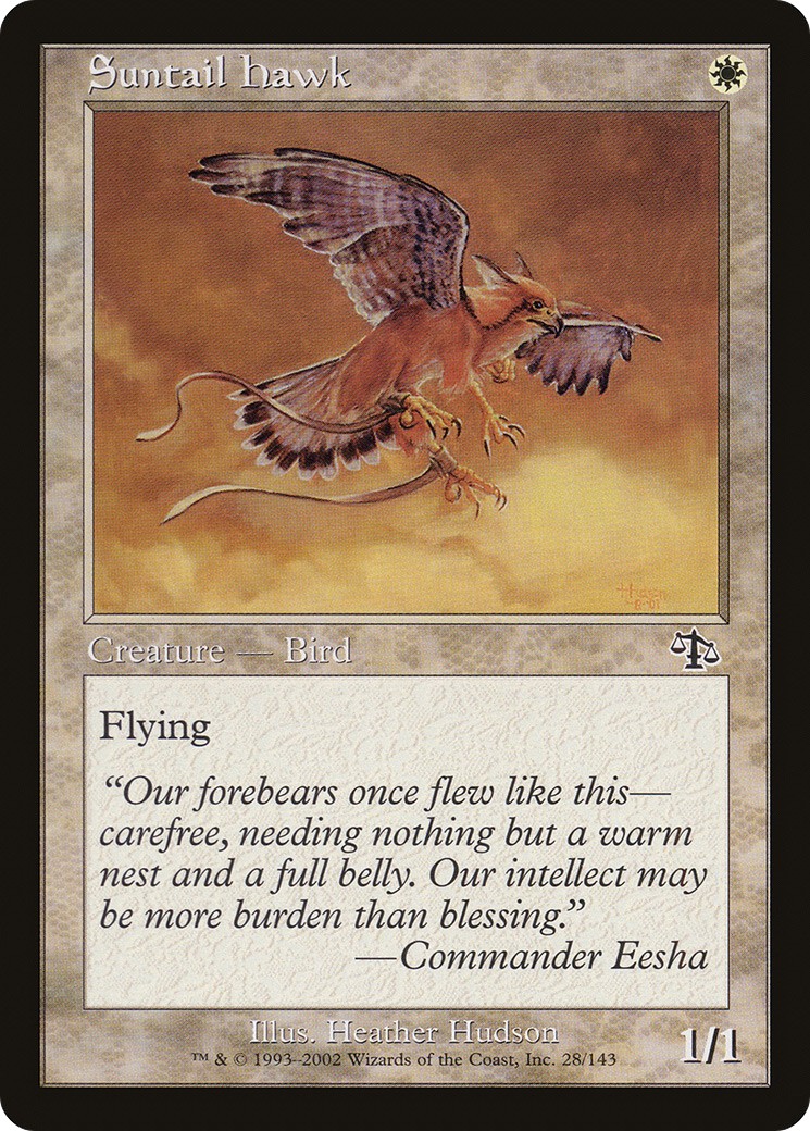Suntail Hawk - Image 1