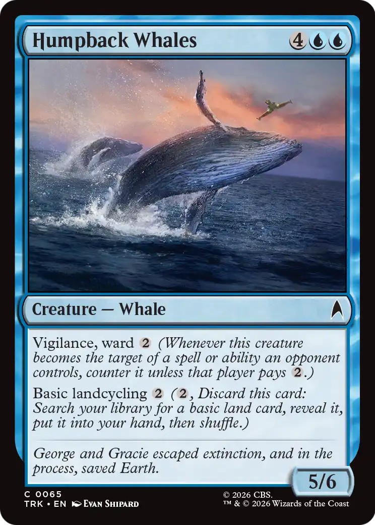 Humpback Whales - Image 1