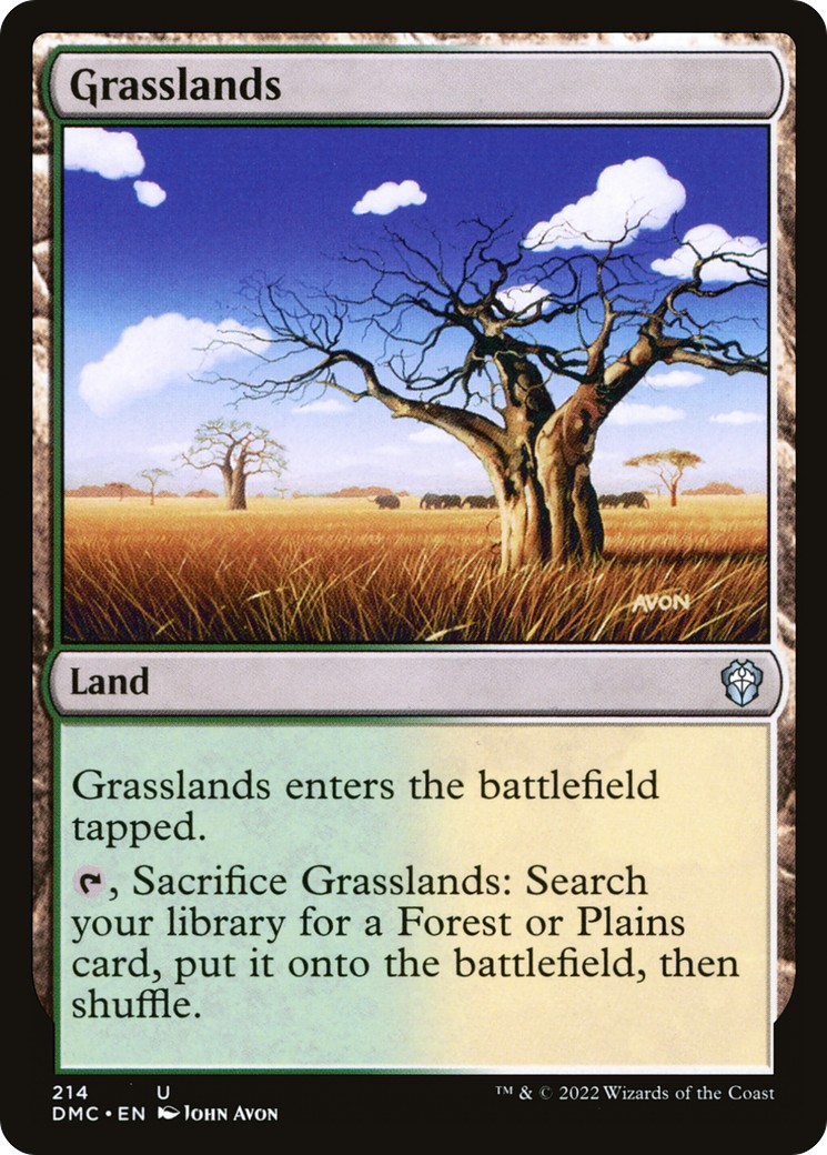 2022 Magic: The Gathering Dominaria United 2022 Magic: The Gathering Dominaria United #214 trading card