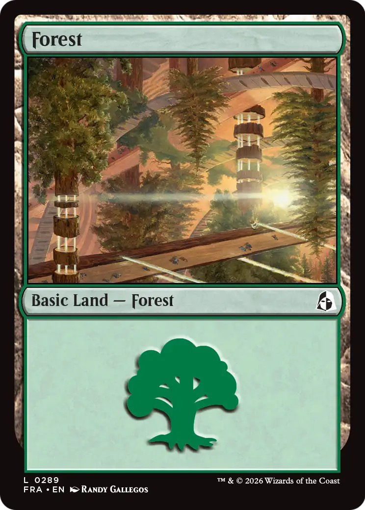 Forest - Image 1