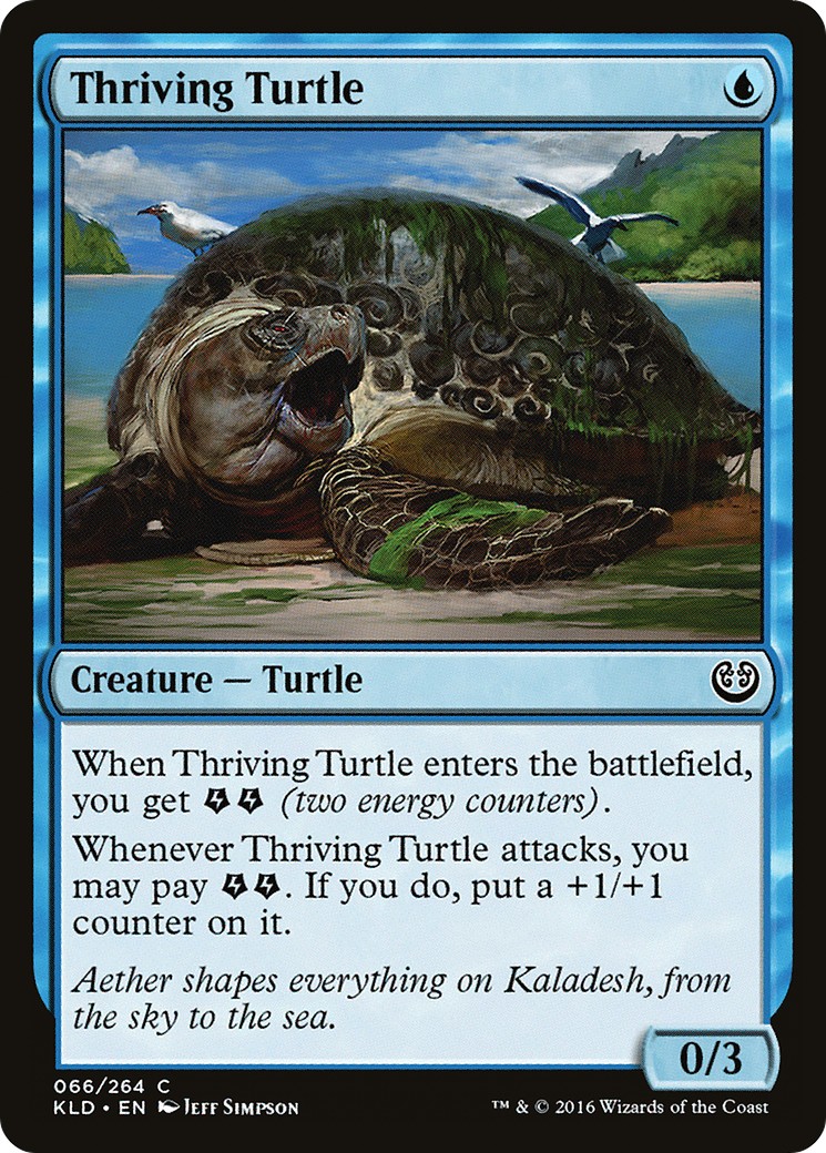 Thriving Turtle - Image 1