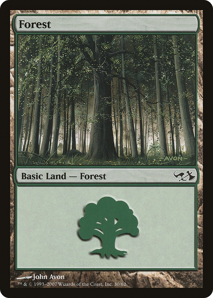 Forest - Image 1