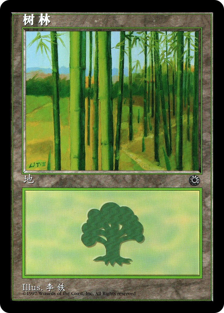 Forest - Image 1