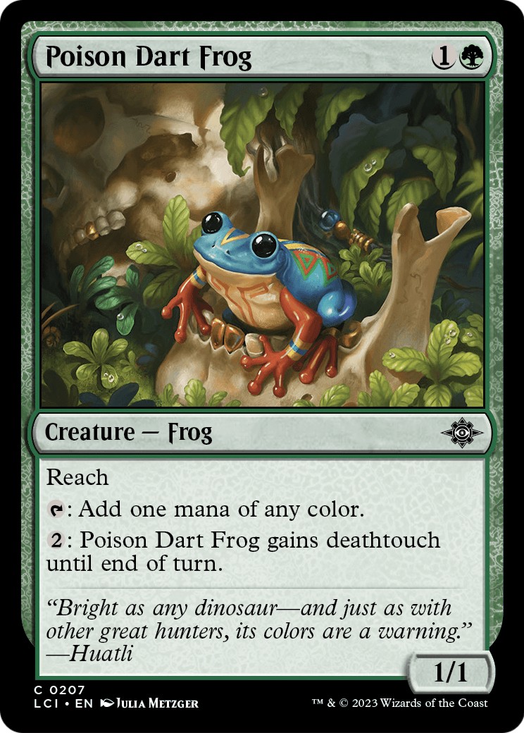 Poison Dart Frog - Image 1