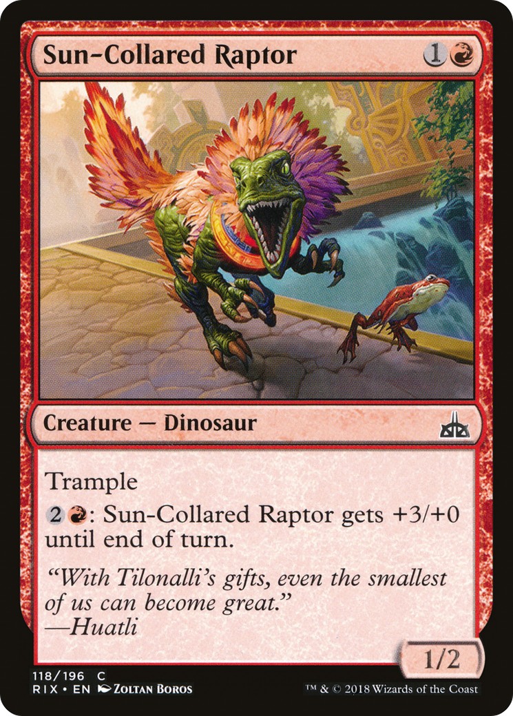 Sun-Collared Raptor - Image 1