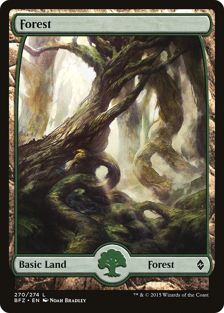 Forest - Image 1