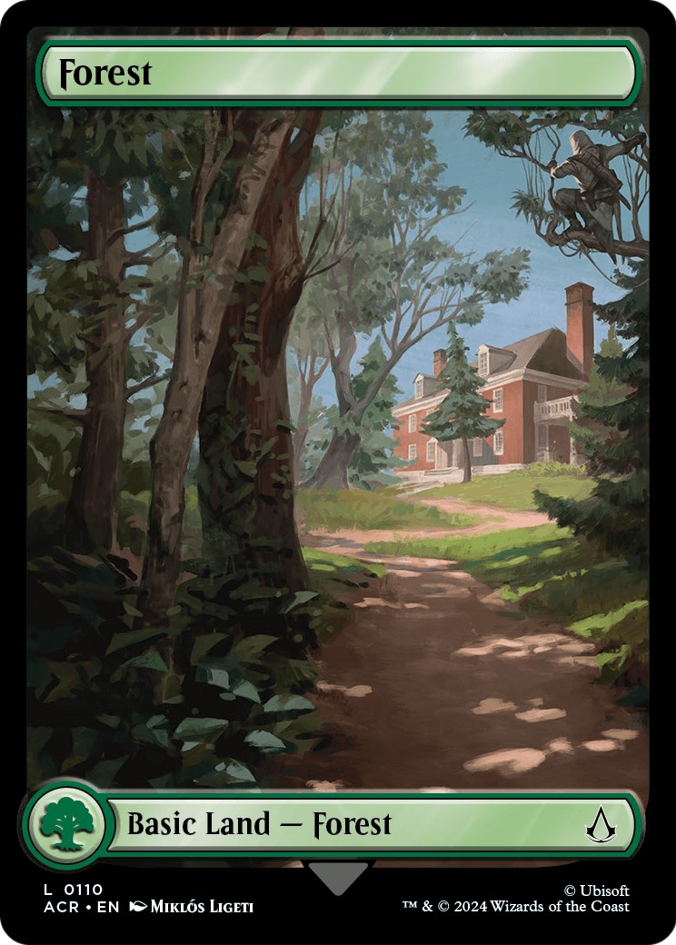 Forest - Image 1