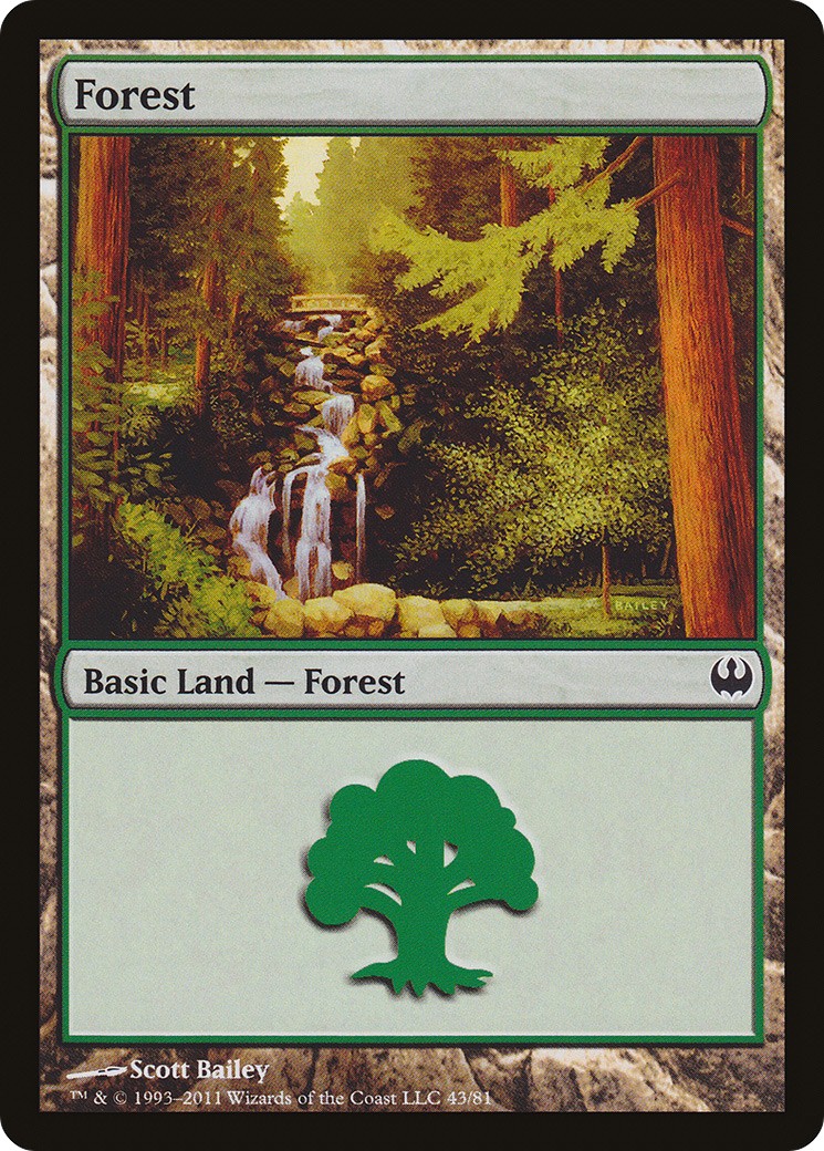 Forest - Image 1