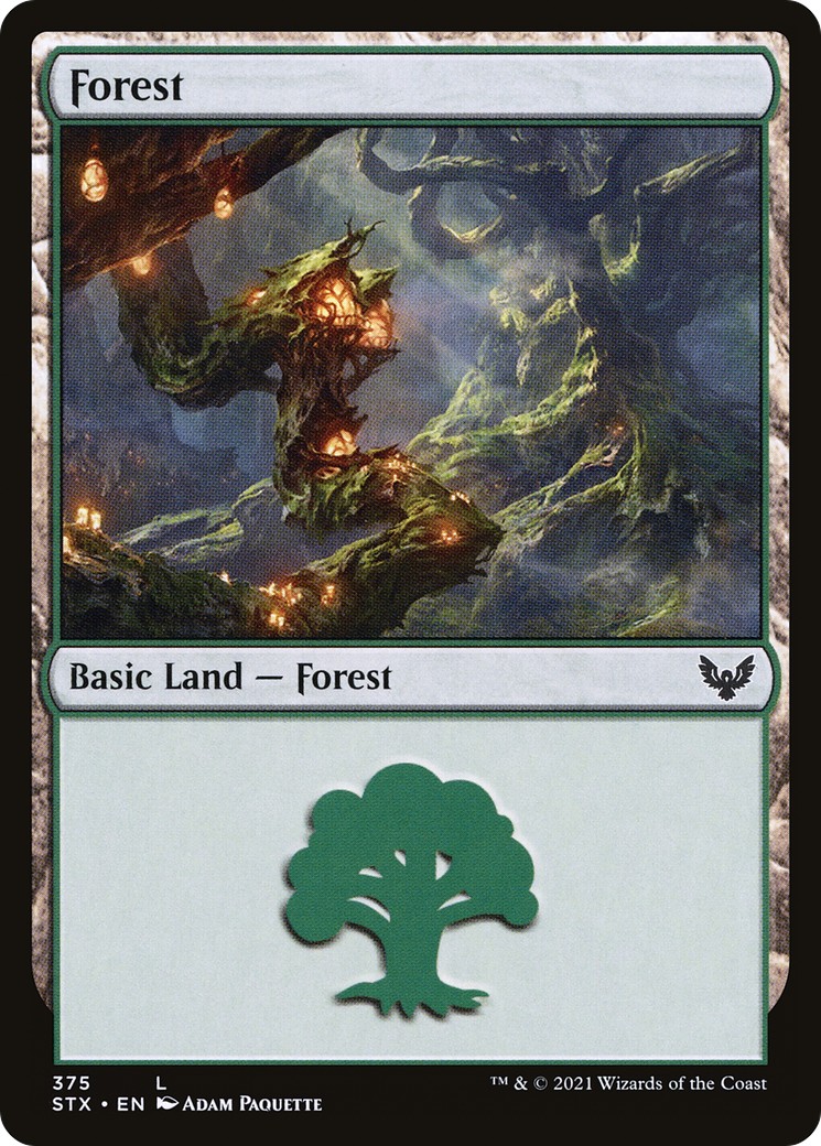 Forest - Image 1