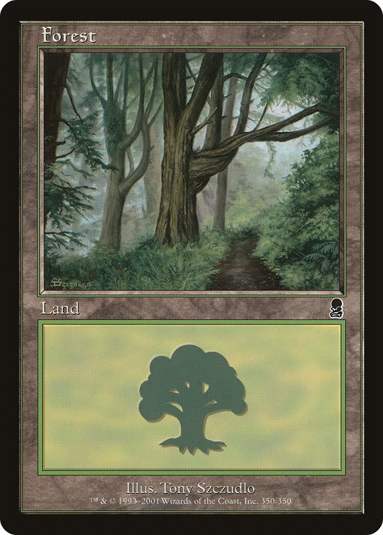 Forest - Image 1