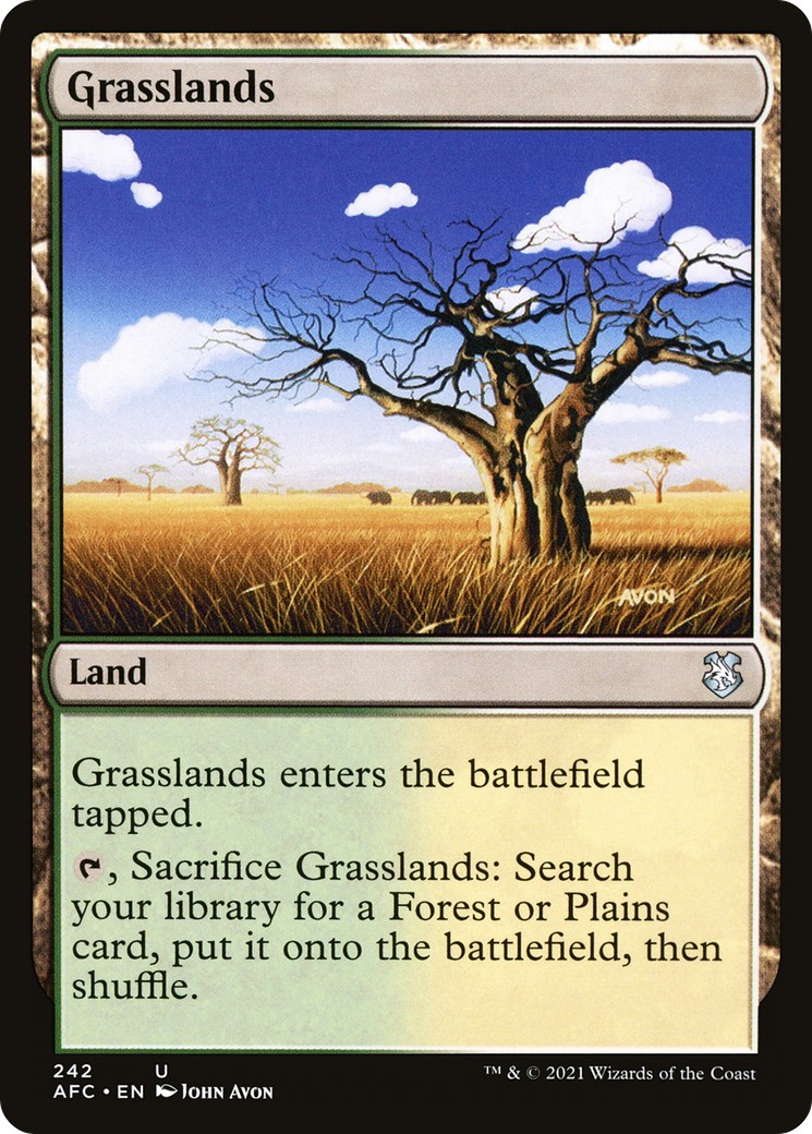 2021 Magic: The Gathering Forgotten Realms 2021 Magic: The Gathering Forgotten Realms #242 trading card