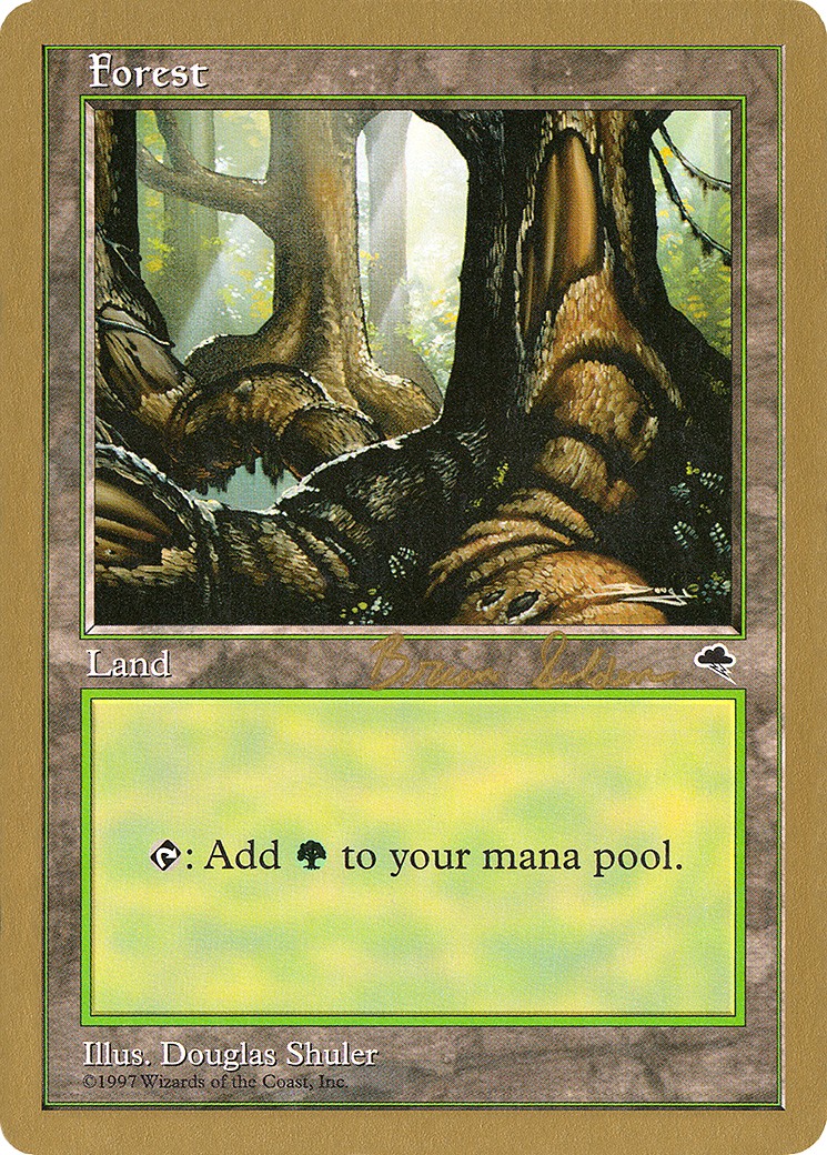 Forest - Image 1