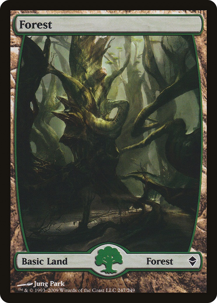 Forest - Image 1
