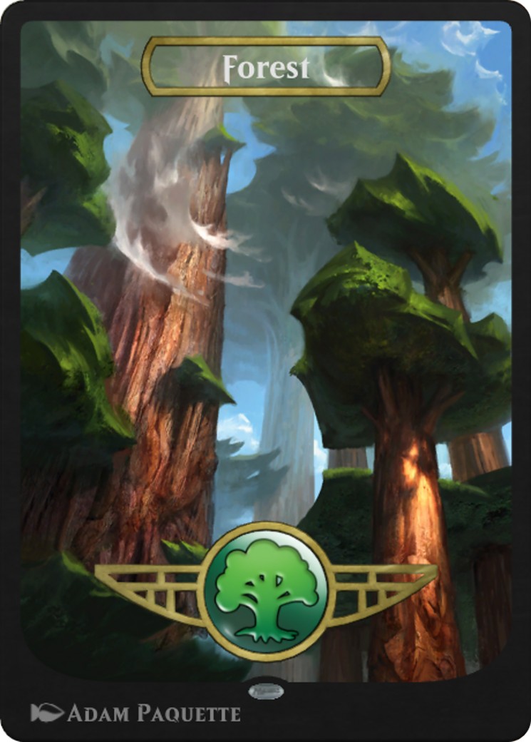 Forest - Image 1