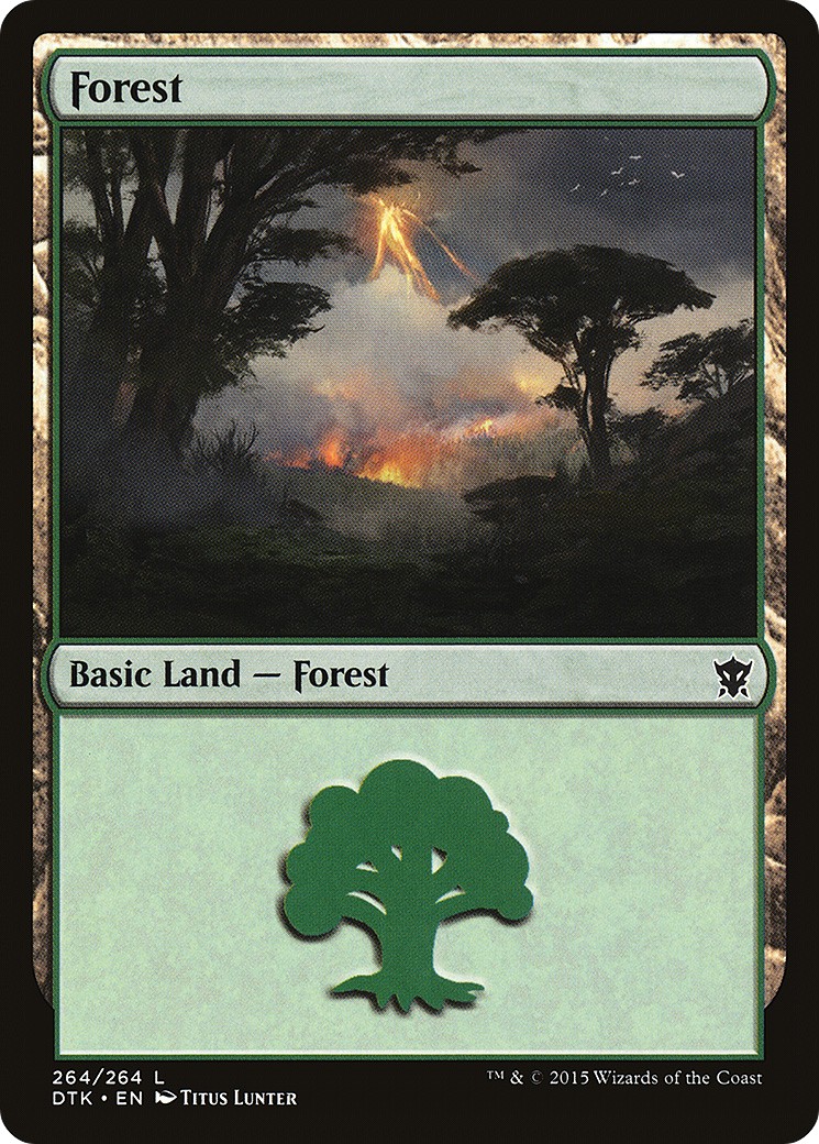 Forest - Image 1