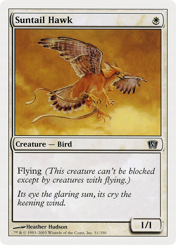 Suntail Hawk - Image 1