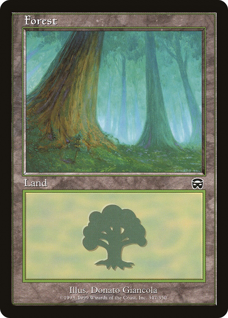 Forest - Image 1