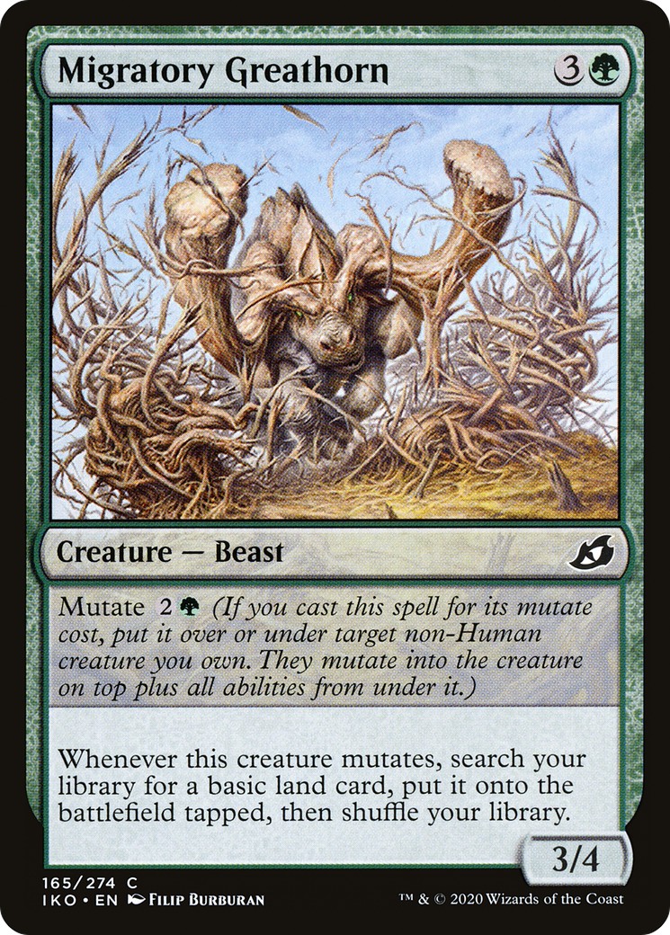 Migratory Greathorn - Image 1