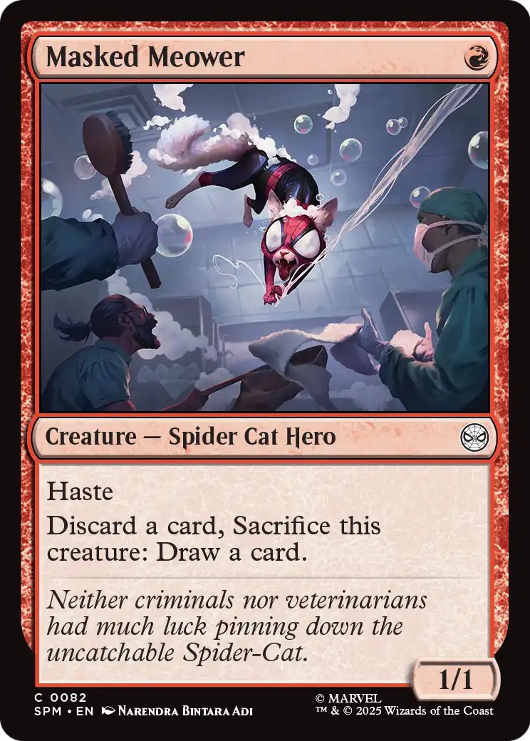 Masked Meower - Image 1
