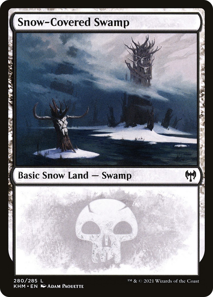 Snow-Covered Swamp - Image 1