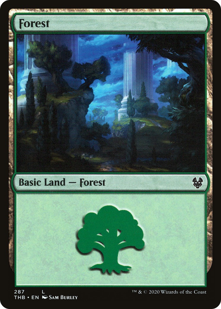 Forest - Image 1